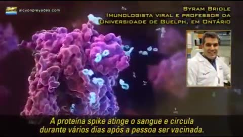 Imunologista fala das atuais vacinas MRna