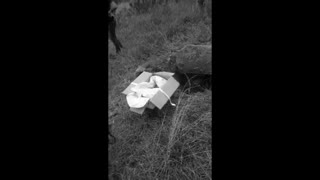 Ananova - Villagers Unearth Newborn Boy Mistakenly Buried Alive