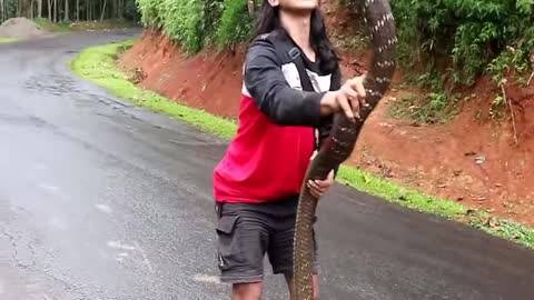 Amazing Catch Snake by hand