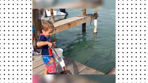 Babies saw a fish for the first time