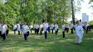 Learning Traditional Yang Style Tai Chi Your Journey Begins Here