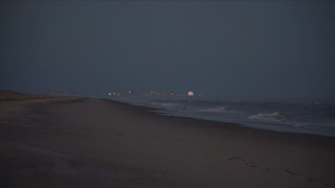 Sunset Walk on Assateague Island With Goose