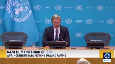 World Food Programme warns of imminent famine in northern Gaza