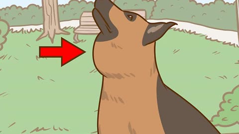 How to treat salivary mucocele of your dog❓❓❓❓❓❓❓