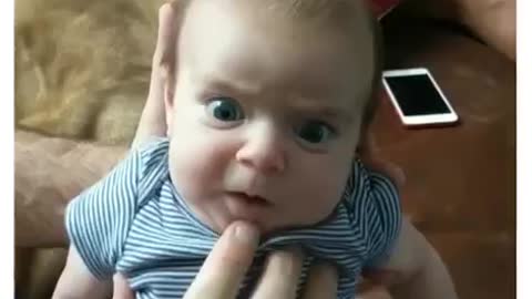 Funny videos.cant stop laughing🤣🤣