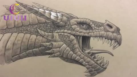 The drawing of the dragon is very beautiful