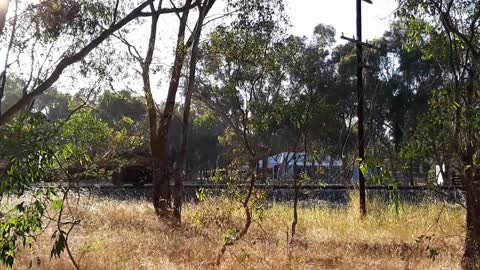 The walk,the trains and the grass