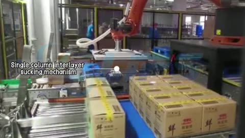 Automatic robot carton palletizer double line #palletizer#robot#packaging#foryou