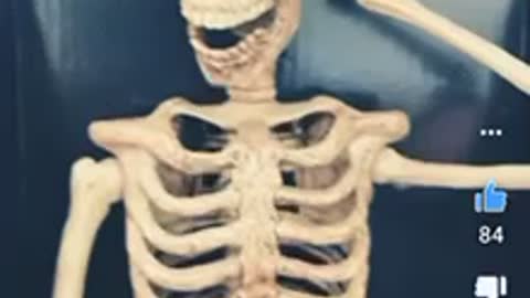 skeleton is a musician