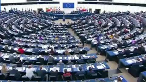 The European Parliament Has Done A Lot Of Damage In Europe