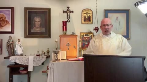 Homily on Do We see and hear? - Fr. Stephen Imbarrato