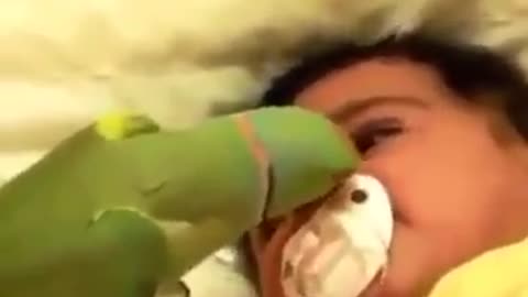 Baby And Parrot