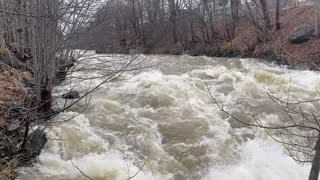 Flooding after 41.6mm of Rain, Waterford River, Newfoundland