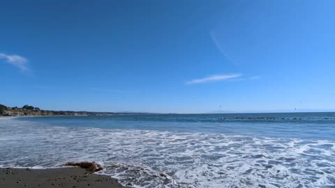 Break Time at Monterey Bay