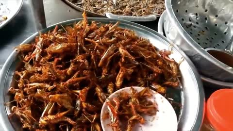 Insect!! Extreme Street food in Bangkok, Thailand