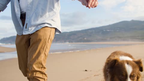 Man with his cute dogs at the beach, dogs playing at the beach