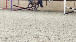 Powerful Farts Propel Pony Over Jumps