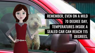 DANGER OF LEAVING KIDS AND PETS IN HOT CARS.