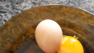 Giant Eggs Holds a Surprise