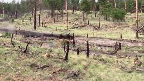 Flash flooding in Flagstaff creates a river of mud and debris in a matter of seconds