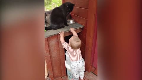 Cutest Babies Play With Dogs And Cats Compilation