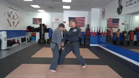 An example of the American Kenpo technique Unfurling Crane