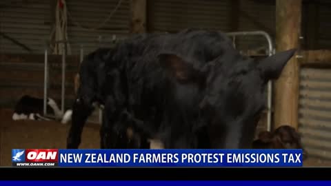New Zealand farmers protest emissions tax