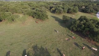 Longhorn aerial test