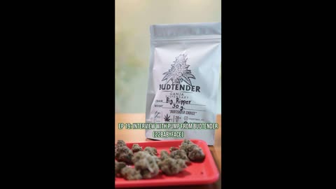 EP 19: Interview with Pump from Budtender