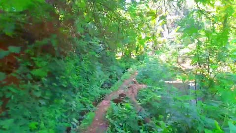 Cinematic to natural beauty, river in natural countryside || BANDUNG WEST JAVA