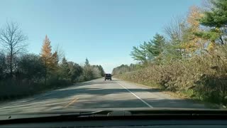 Driving Through Fall Colours