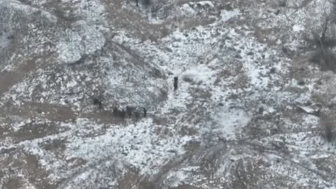 Ukrainian Marines Use SPG-9 To Take Out Russian Troops Attempting Attack Near Avdiivka