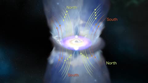 A Black Hole's Magnetic Reversal