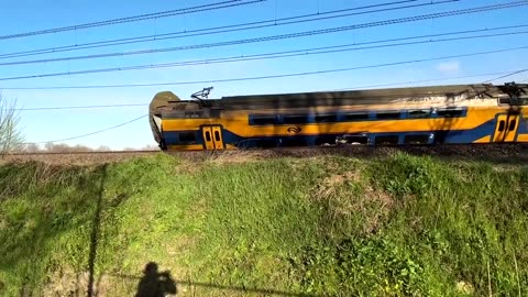 One dead, 30 injured after Dutch train derails