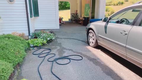 Lady Confronts Bear Going Through Garbage