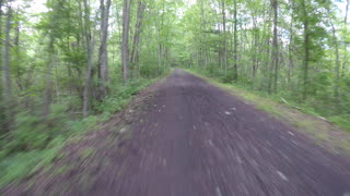 Mountain-bike Ride Along A Deer