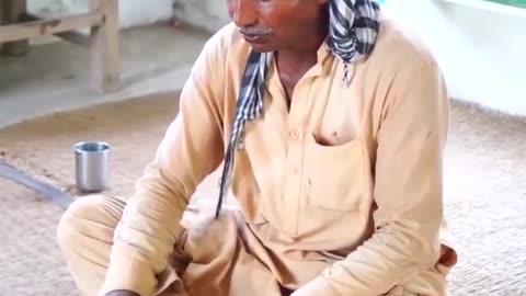 Free langar at a Pakistani Shrine | Faisalabad | video 12#shorts