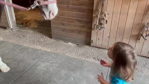 Horse Answers Kid's Candid Question
