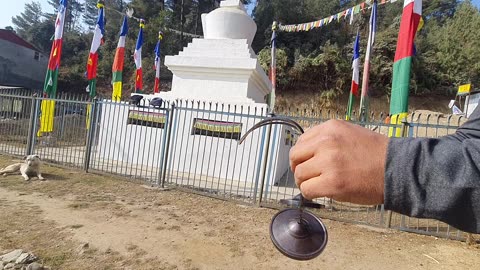 Tibetan tingas