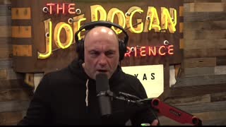 Rogan talks about undocumented migrants