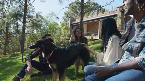 Os cães são capazes de identificar estresse dos tutores pelo cheiro.