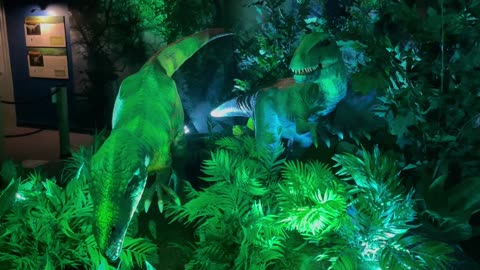 Wildlife:Dinosaur 🦕 park in USA