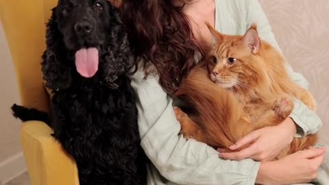 Cat and Dog with Beautiful Women