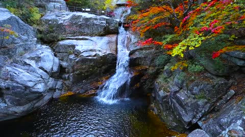 Falls Autumn Waterfall / Automne Chute D'eau
