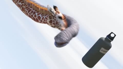 Elephant vs Giraffe Water Fight,