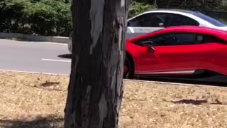 Driver crashes McLaren