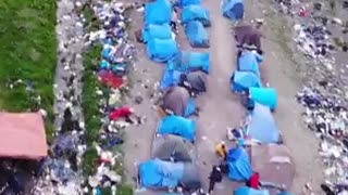 Thousands of migrants are camping out in the forests of Northern France