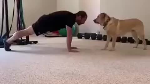 A Dog As An Exercise Partner!
