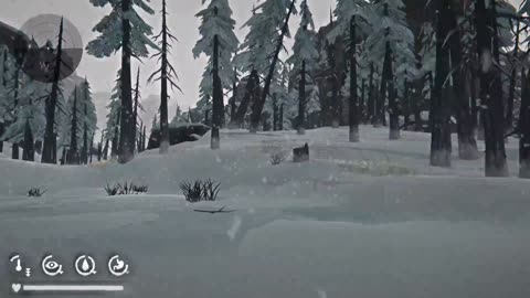 The Long Dark - Just How Difficult Is Interloper Anyway?