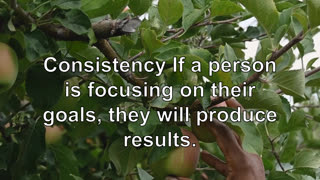 Consistency If a person is focusing on their goals, they will produce results.